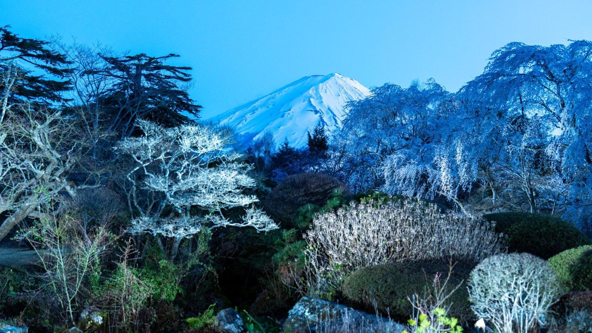 富士ビュ－ホテル 旅館 富士河口湖町